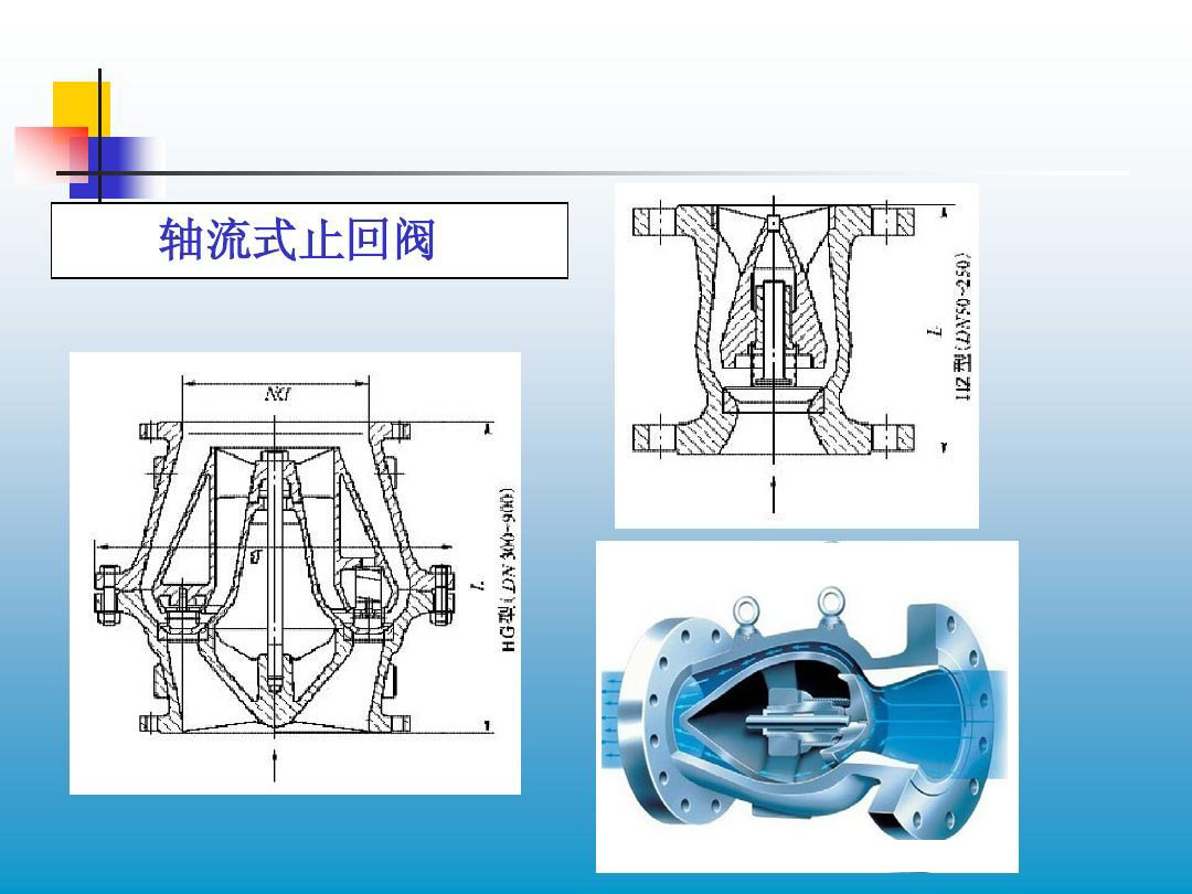 進(jìn)口軸流式止回閥11.jpg