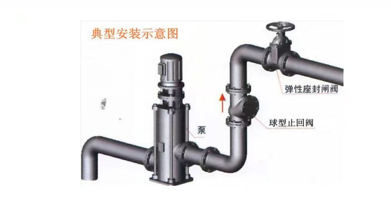 進(jìn)口球形止回閥10.jpg